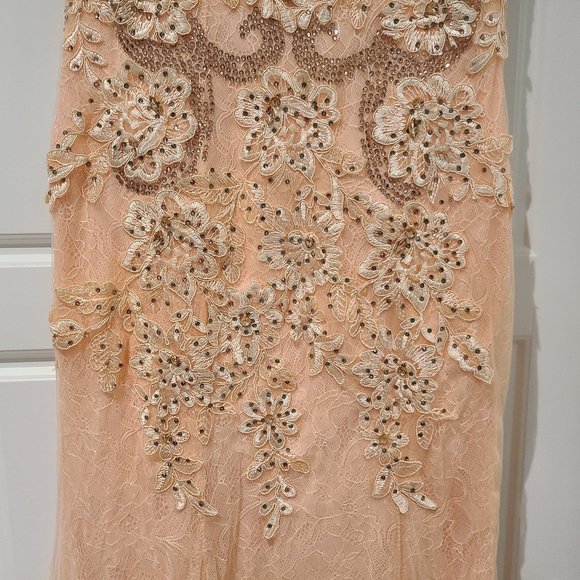 Stunning Peach Lace Gown with Train - Picture 7 of 12